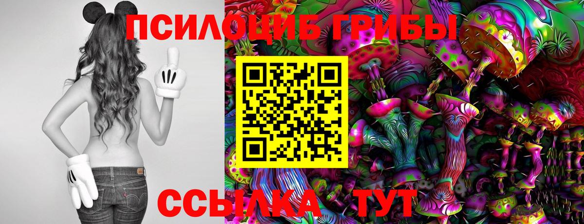Псилоцибиновые грибы MAGIC MUSHROOMS  Галлюциногенные грибы мухоморы  Ижевск  Вход с VPN 